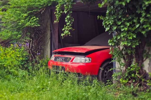 Reviving Rides: The Hidden Treasures at Essington Avenue 